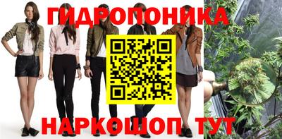 МДПВ Новокубанск