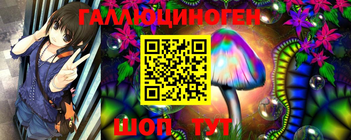 Хабаровск  Псилоцибиновые грибы Psilocybine cubensis  Галлюциногенные грибы MAGIC MUSHROOMS  Вход с VPN 