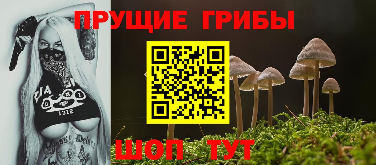 Галлюциногенные грибы Cubensis Хабаровск
